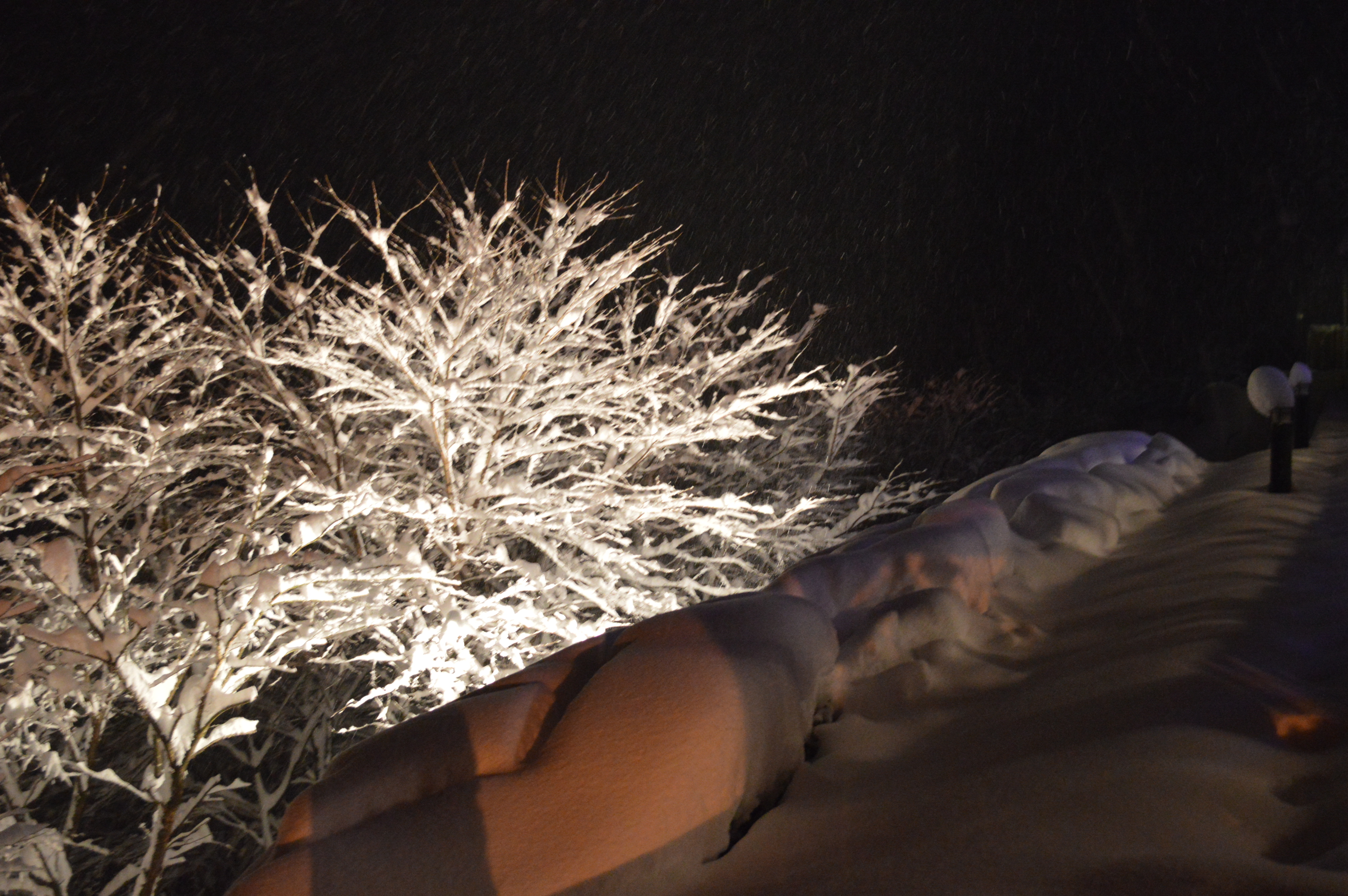 冬のライトアップ