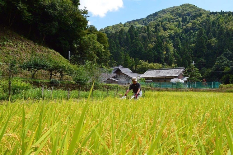 秋の里山3