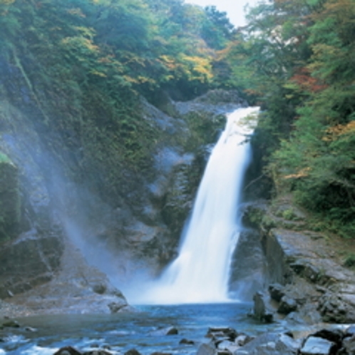 日本三名瀑のひとつ。水量が多く迫力満点！【秋保大滝】