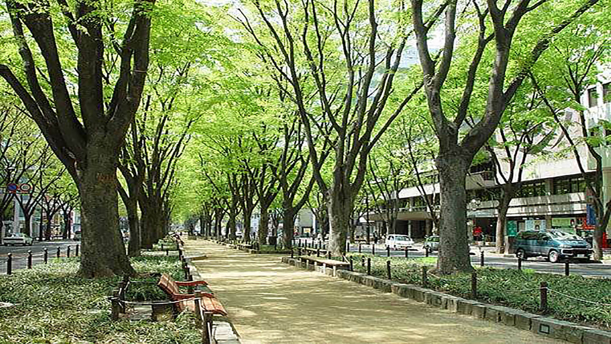 定禅寺通り