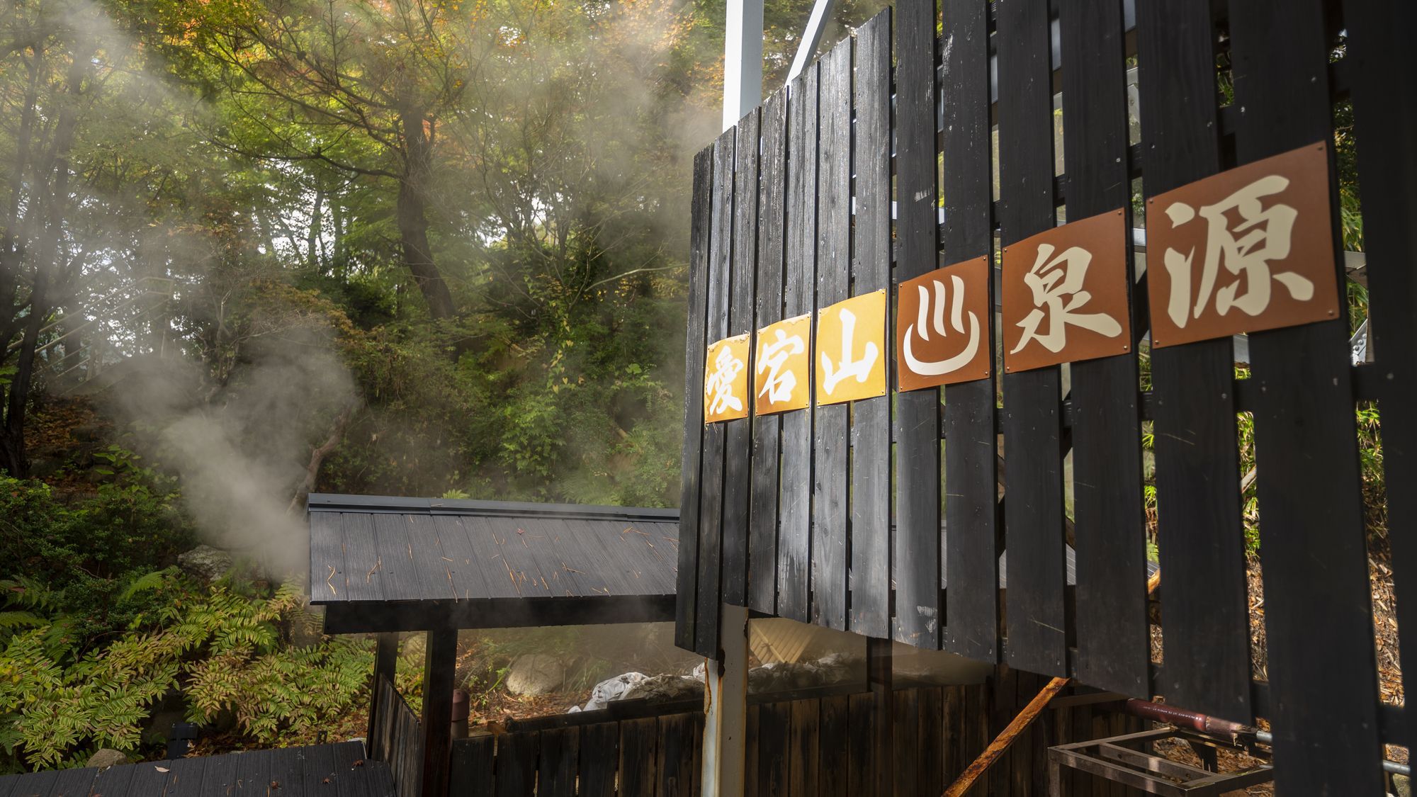 【楽天スーパーSALE】【土地の恵み会席】季節を感じる多彩なお料理の数々を愉しむ