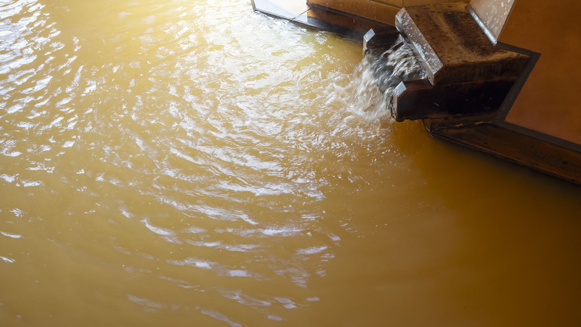 【記念日プラン】誕生日のお祝いにもおすすめ！ホールケーキ＆グラスシャンパン付♪土地の恵み会席