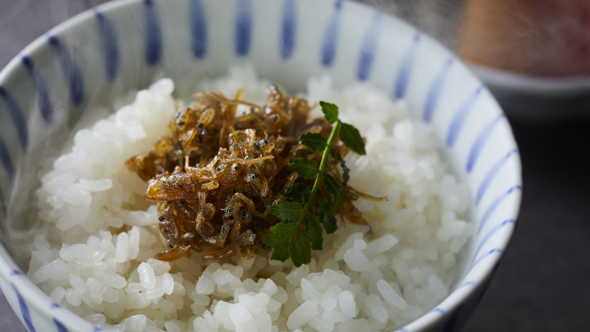 【季節の会席】冬(2025年12月～2026年2月) 食事 山椒ちりめん