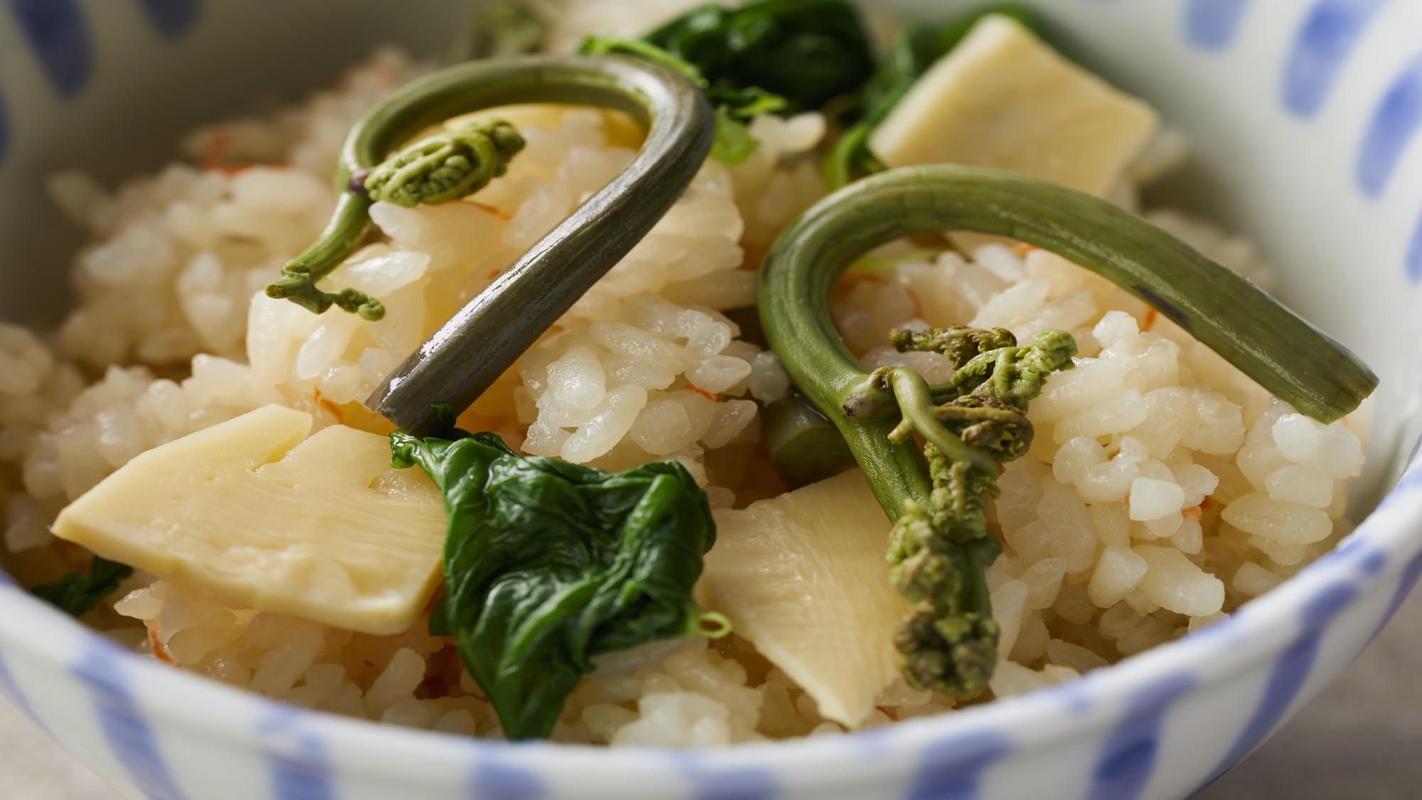 【特別会席】春(2026年3月～5月)  