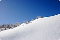 【冬得】星野リゾート ネコマ マウンテン共通リフト★1日券付プラン！