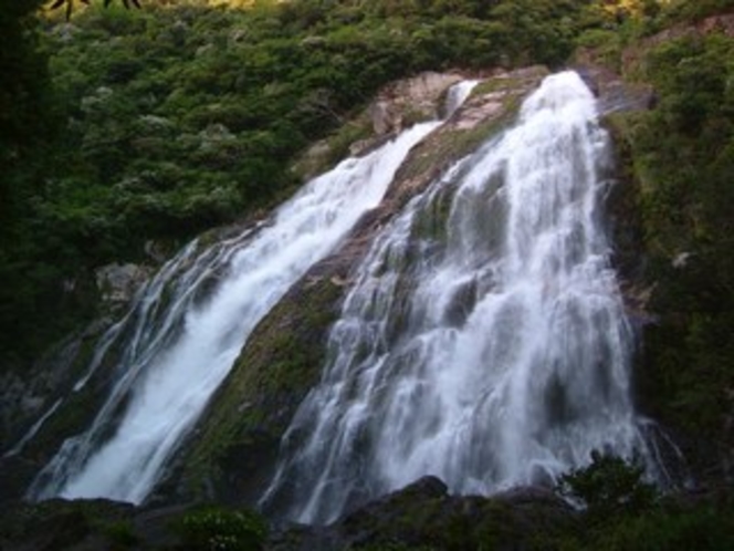 大川の滝