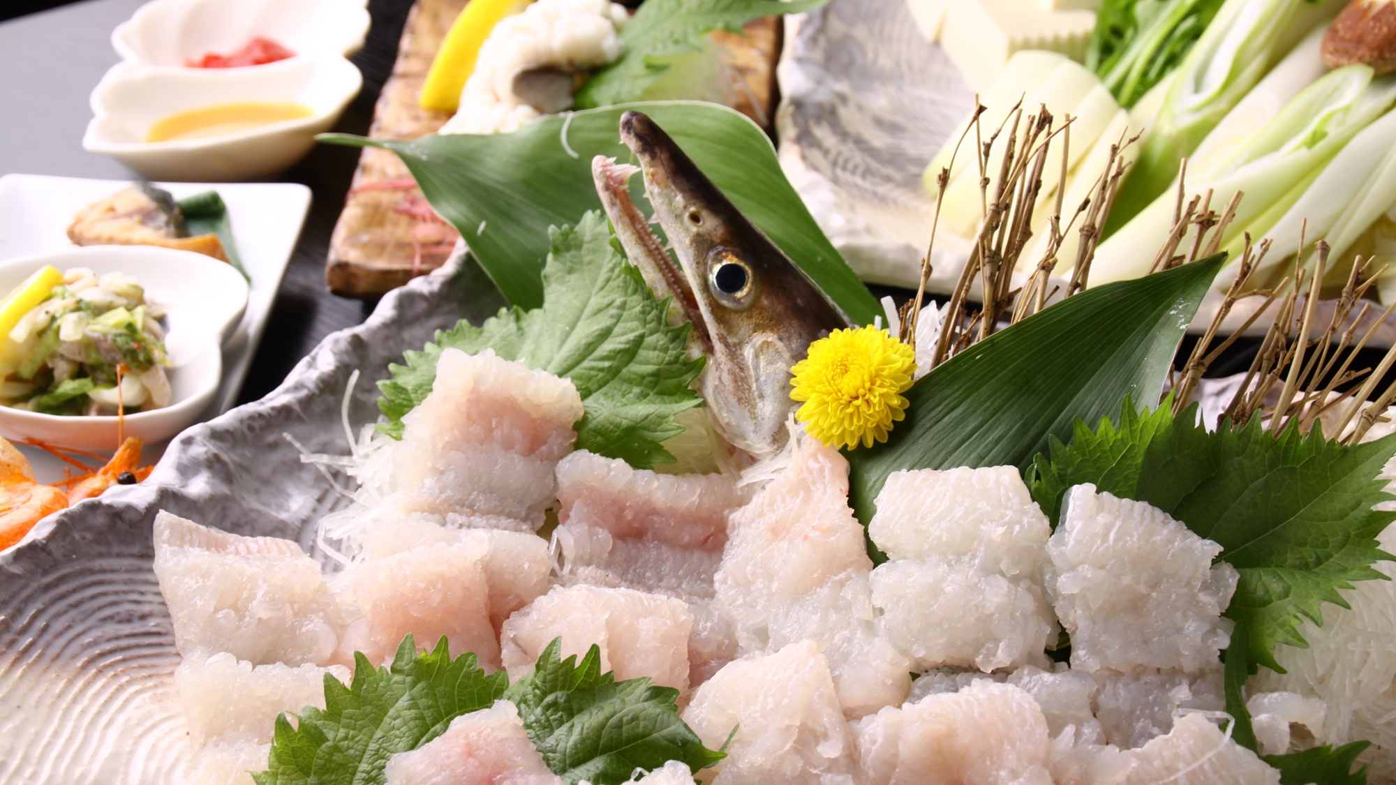 【せんしゅう地魚や】季節の新鮮なお魚をご賞味ください♪