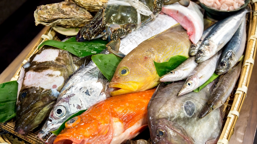 【せんしゅう地魚や】その日水揚げされた新鮮なお魚をご提供いたします