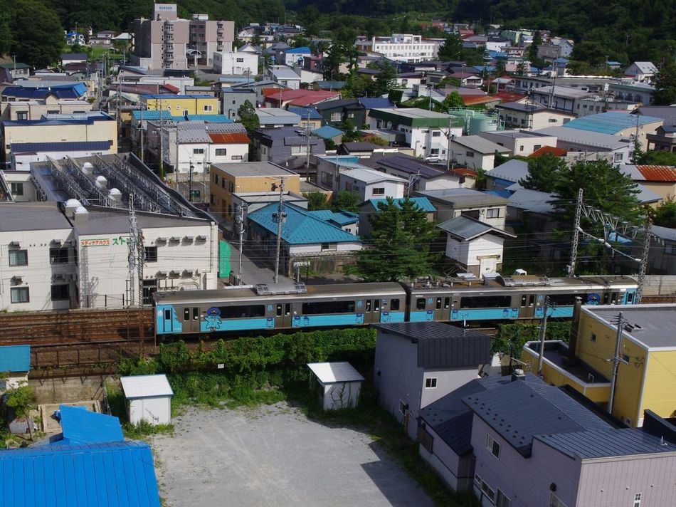 The mountain side landscape is a train view