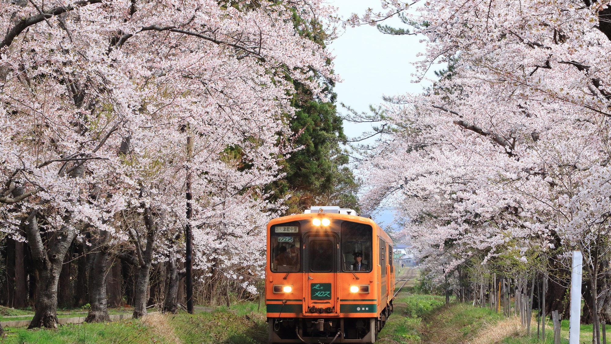 「芦野公園」