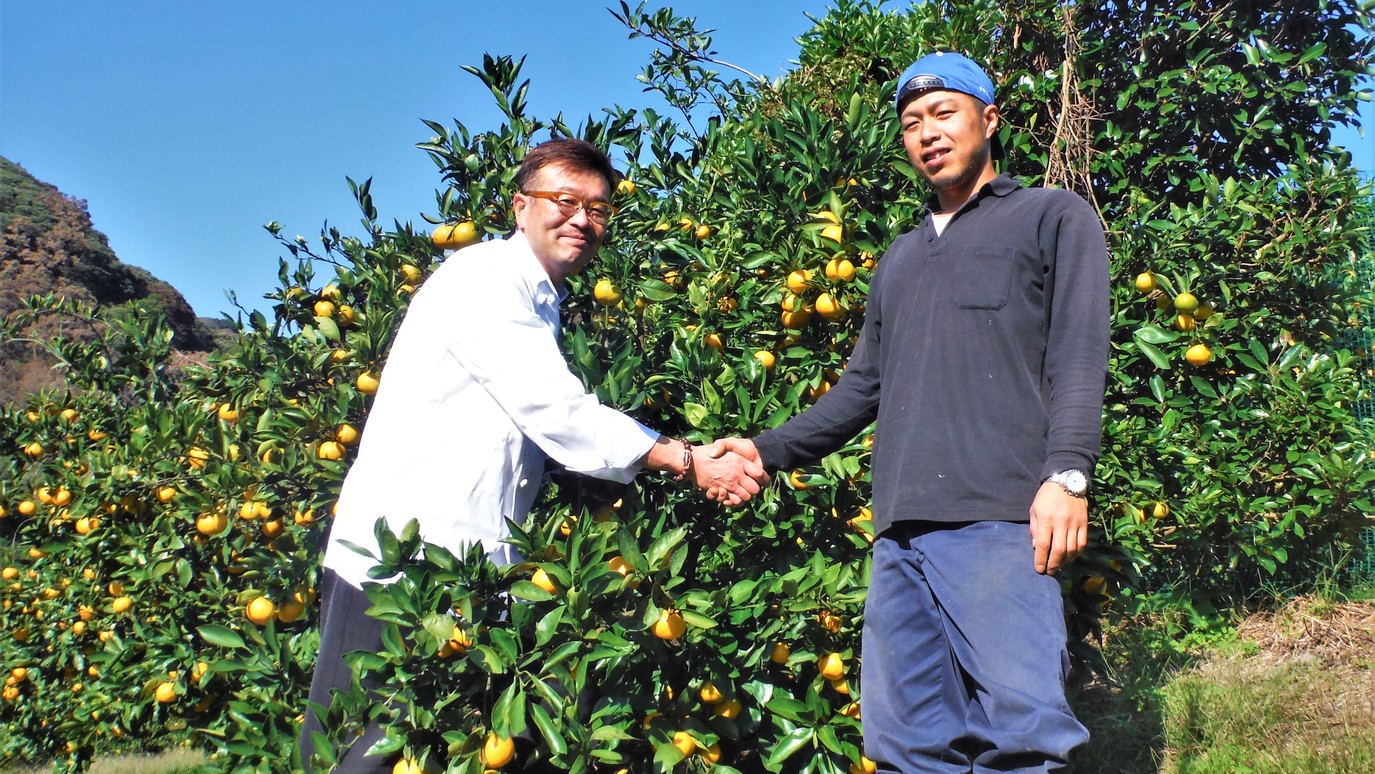 地元の契約農家さんからの新鮮なお野菜