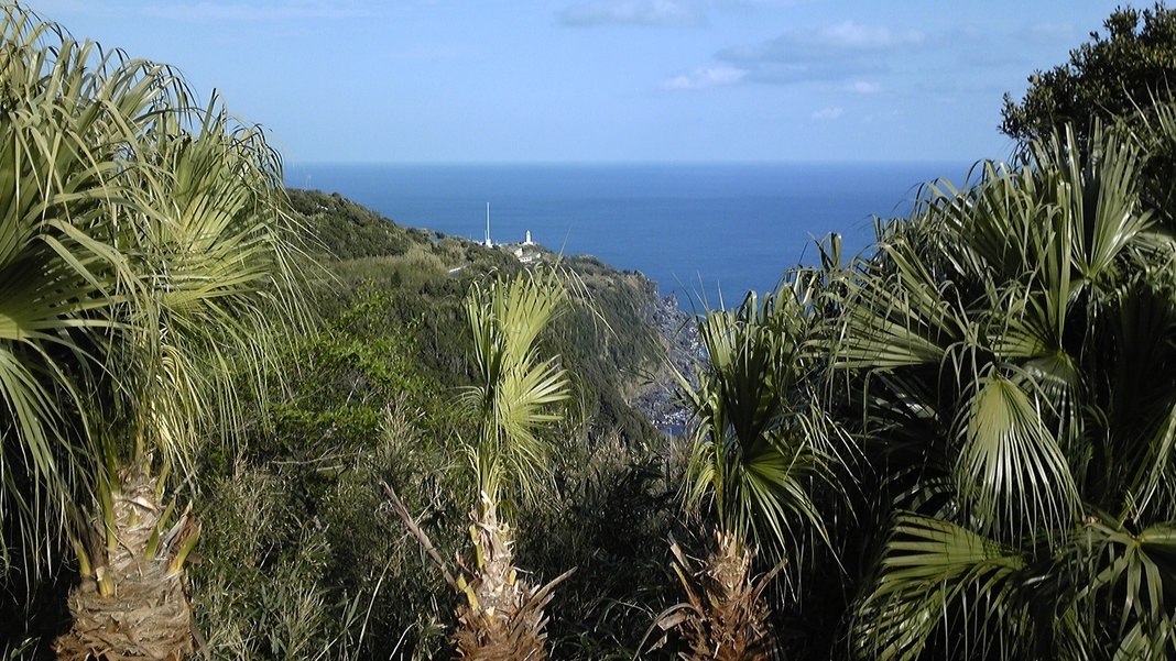 八丈島パークホテル 八丈島 宿泊プラン一覧 楽天トラベル