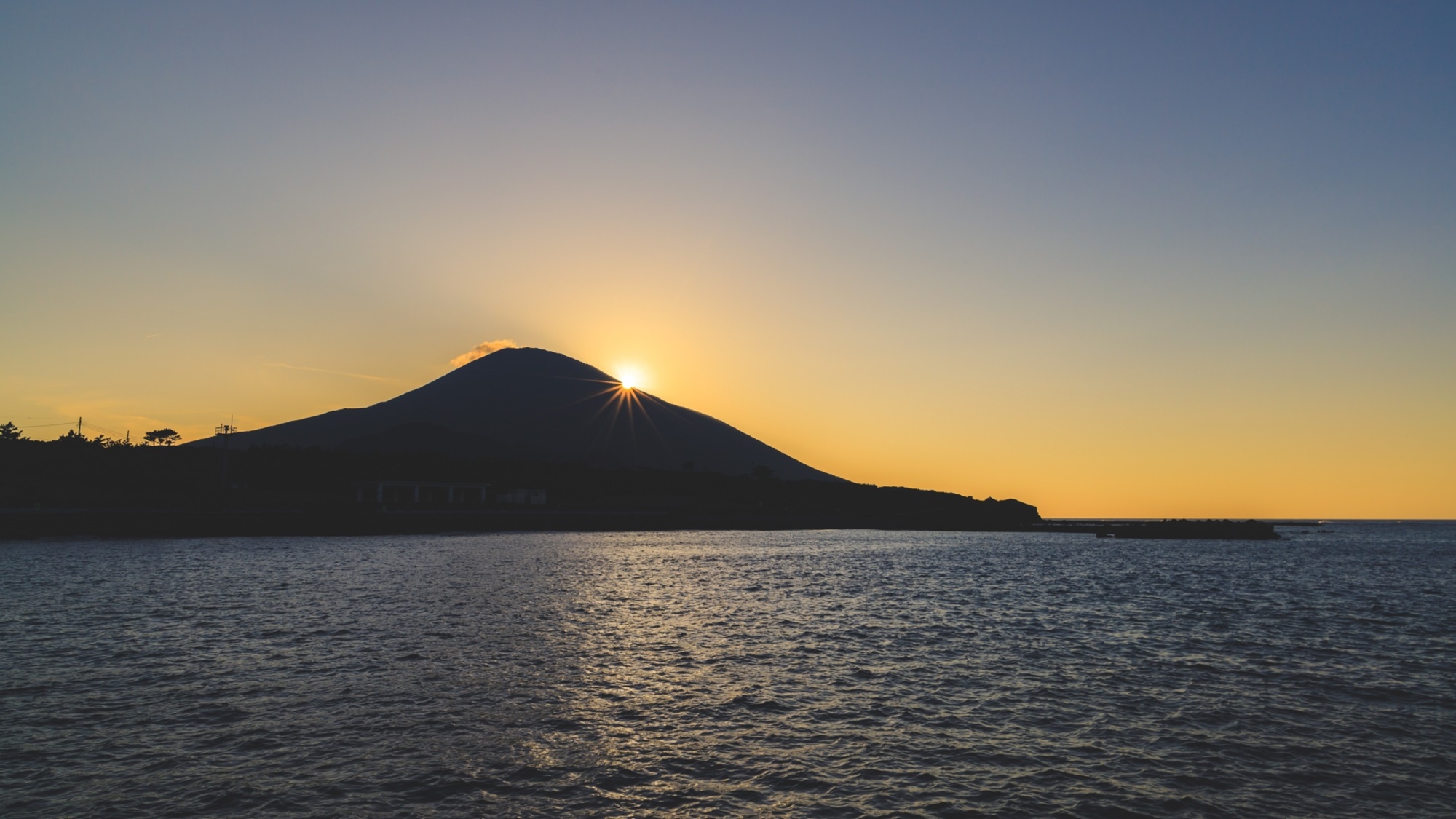 【愛する小さな家族☆ペットと一緒】大自然の八丈島に行こう！（素泊まり）