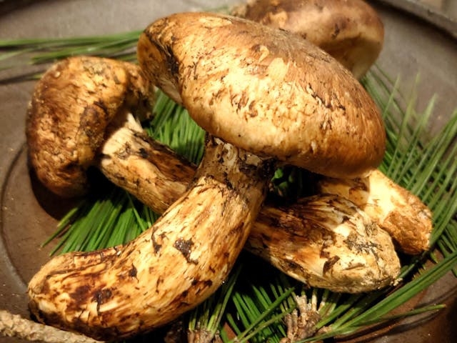 芳醇な香りに包まれる　松茸土瓶蒸し付きプラン