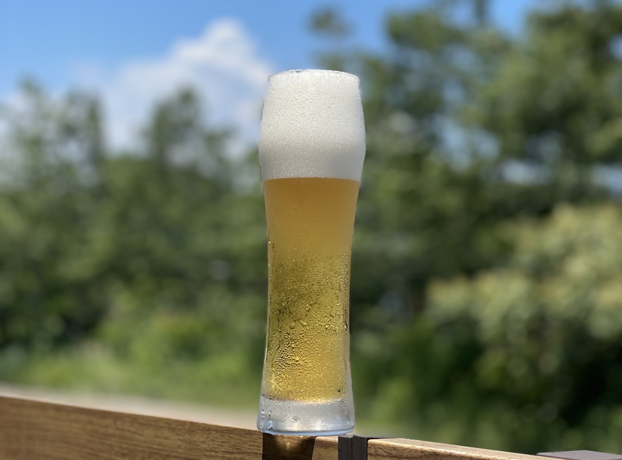 【7月・8月限定】】メガ生ビールで乾杯　〜夏満喫プラン〜