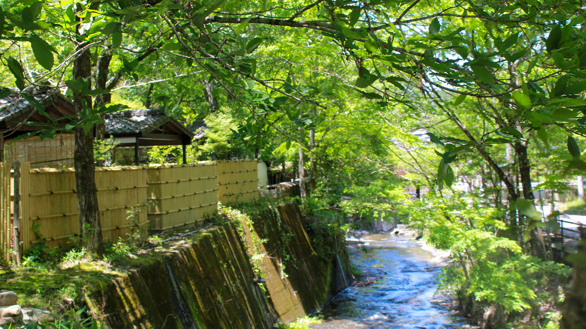 当館の横には川が流れており、川のせせらぎと木々の擦れる音…草木の良いかおりが。