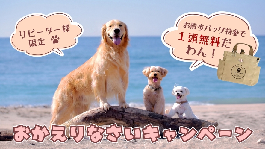 【1周年記念　おかえりなさいキャンペーン】愛犬と寛ぐ新客室と和洋中ビュッフェ堪能プラン＜2食付＞
