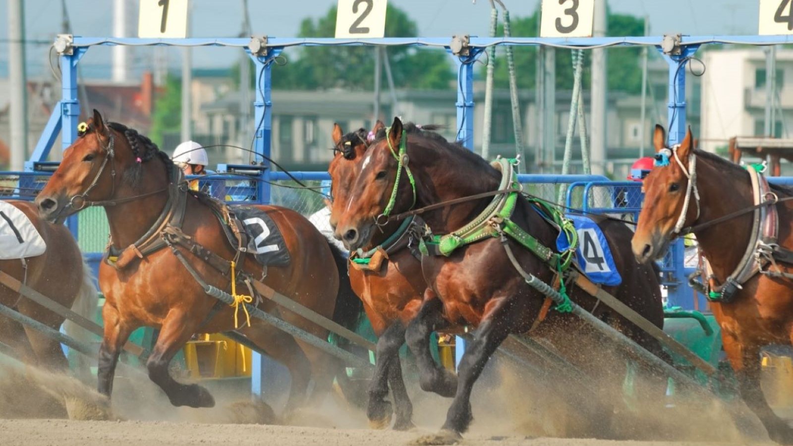 ばんえい競馬