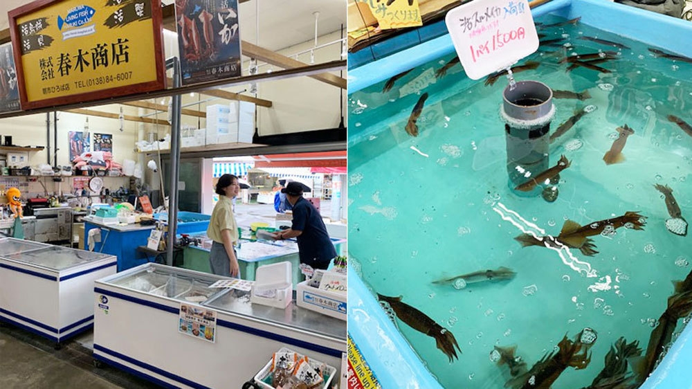 【春木商店コラボ×お楽しみプラン】港町ならでは新鮮な海鮮を「炭火焼」で♪（朝食付・グレードアップ）