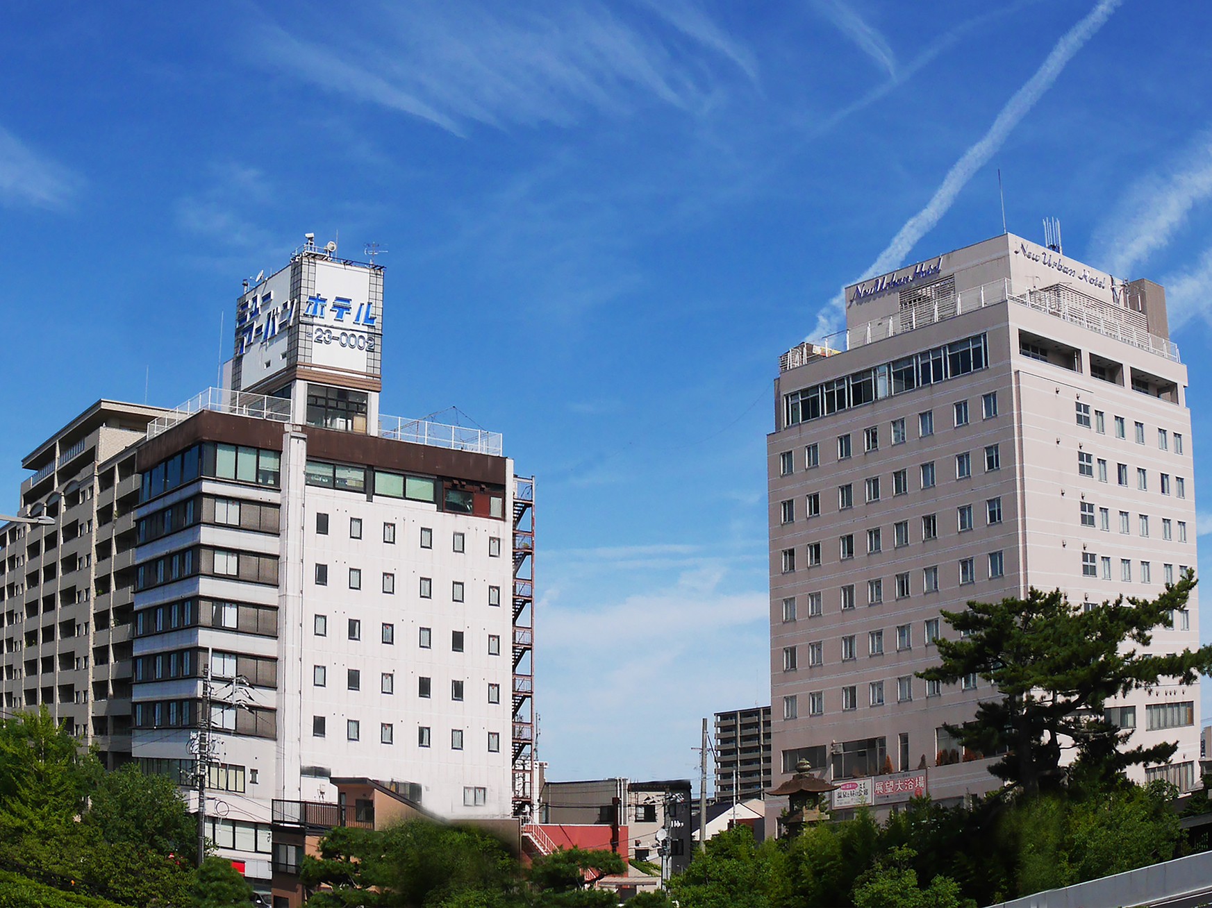 写真1