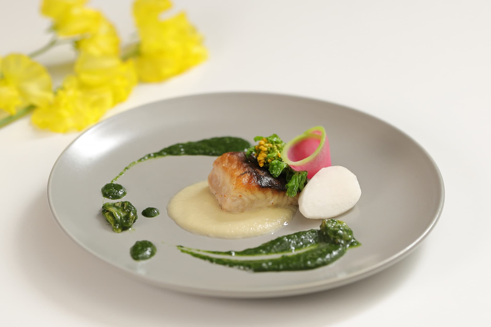 2026春-鰆のポワレ 新玉ねぎのヴェルタータ 春菊とアサリのソース