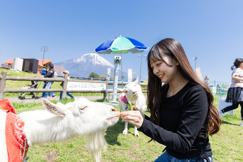 【ペット不可】素泊まりプラン