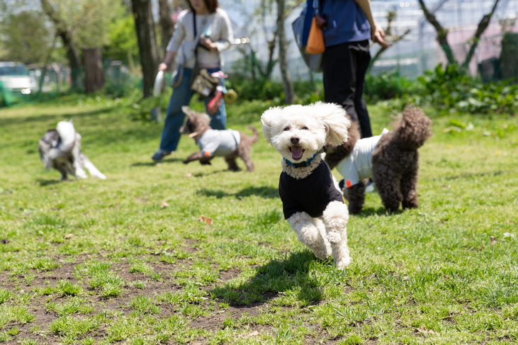 【ペット可】素泊まりプラン