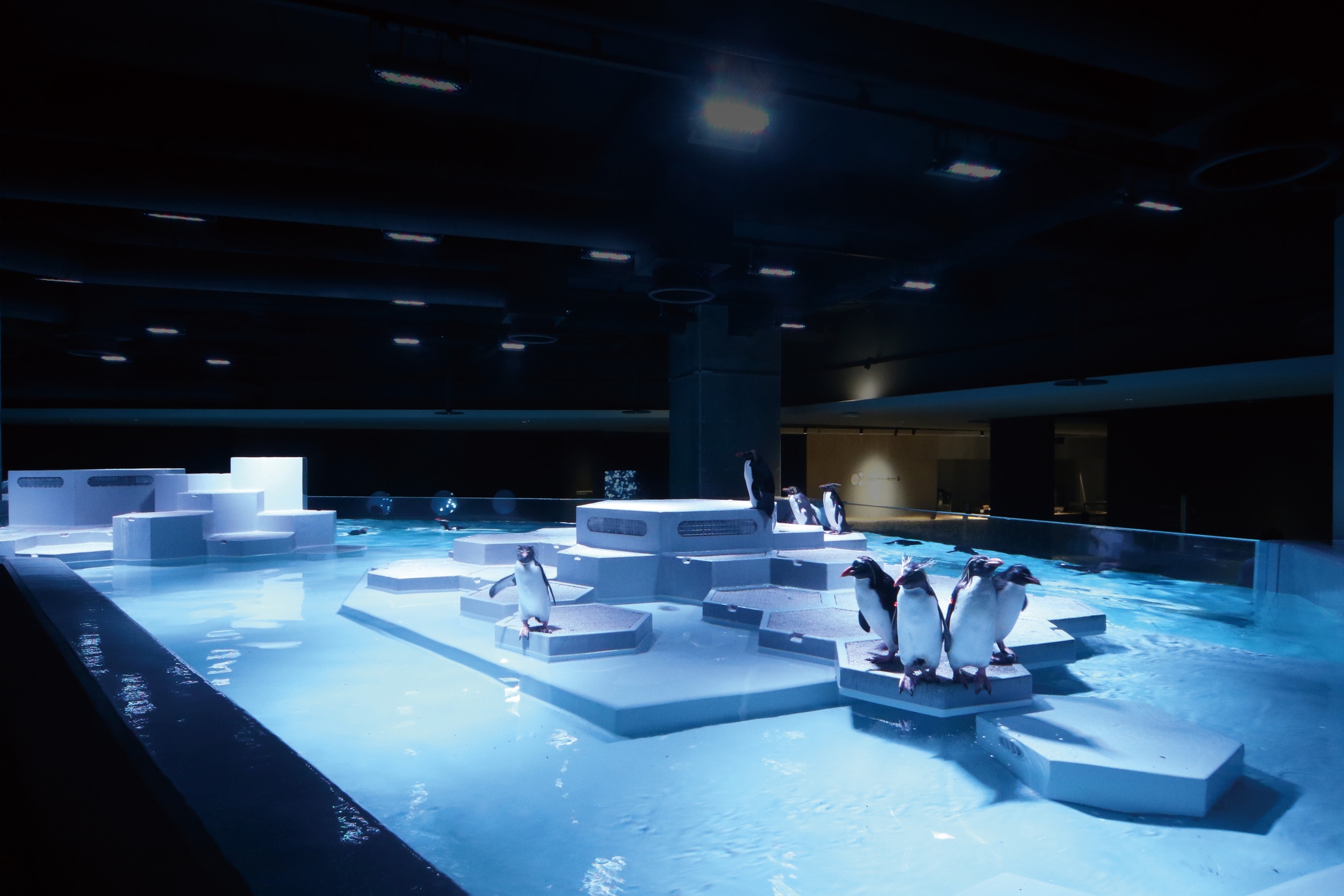 【さっぽろ再発見】札幌唯一の水族館♪【朝食+お子様セット付】AOAO SAPPORO入館券付きプラン