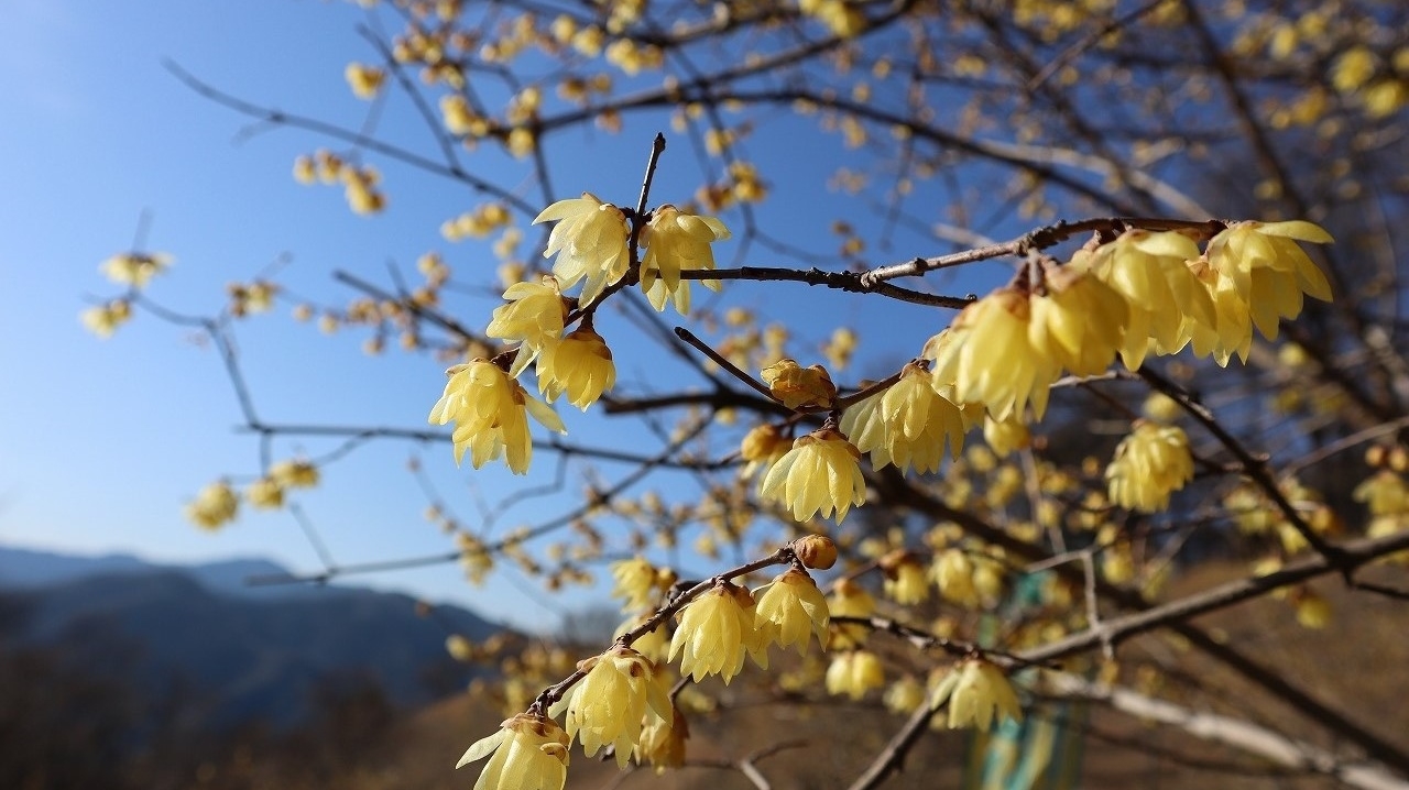 【直前割◇現金特価】【朝食付】上長瀞駅から徒歩５分！２２時までチェックインOK♪朝食付き宿泊プラン