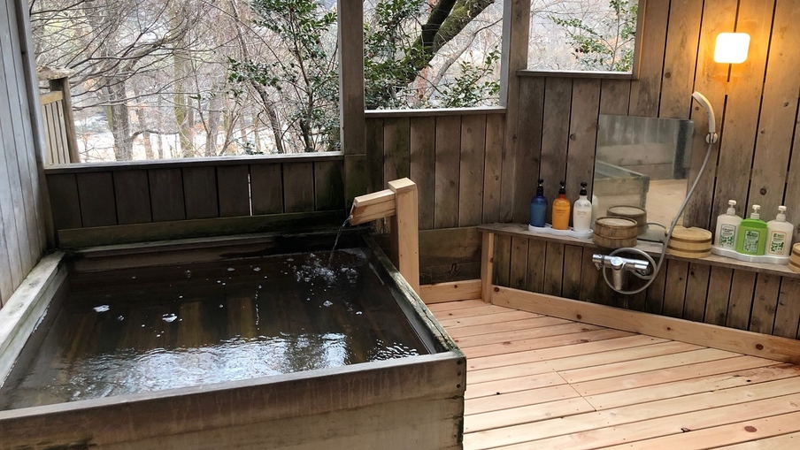 【日帰り☆貸切風呂付】6時間滞在！夕食はお部屋でゆっくり♪日帰り夕食プラン