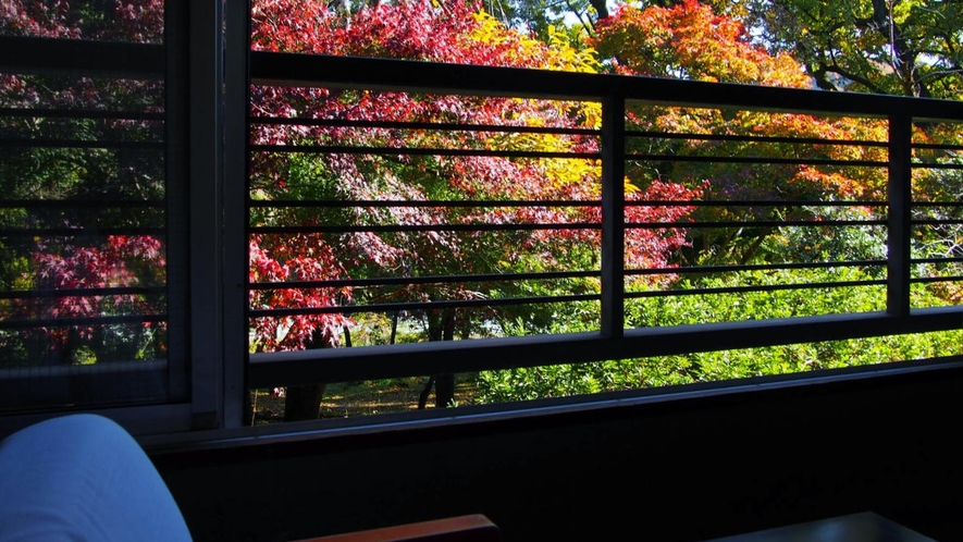 客室からの眺め　～紅葉　色づき始め～