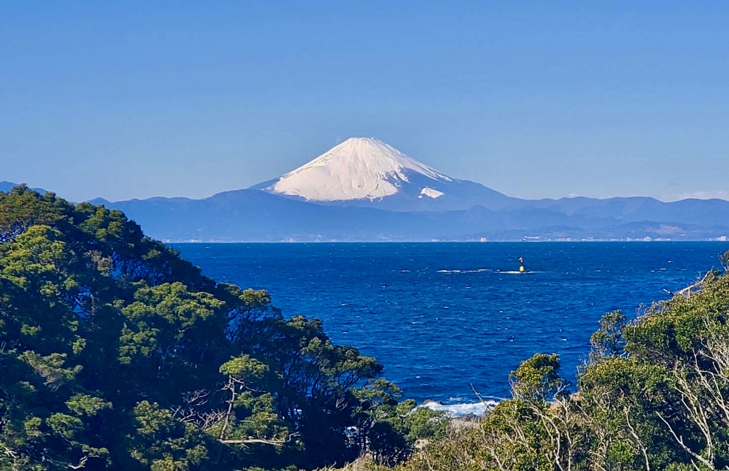 当館から見える富士山