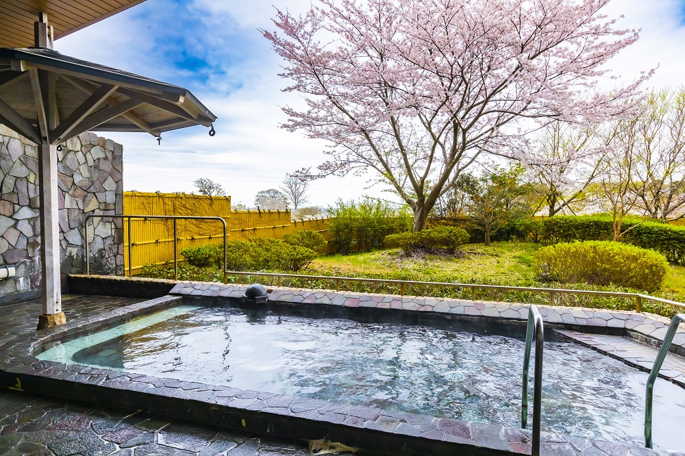 春には露天風呂から桜を眺められます