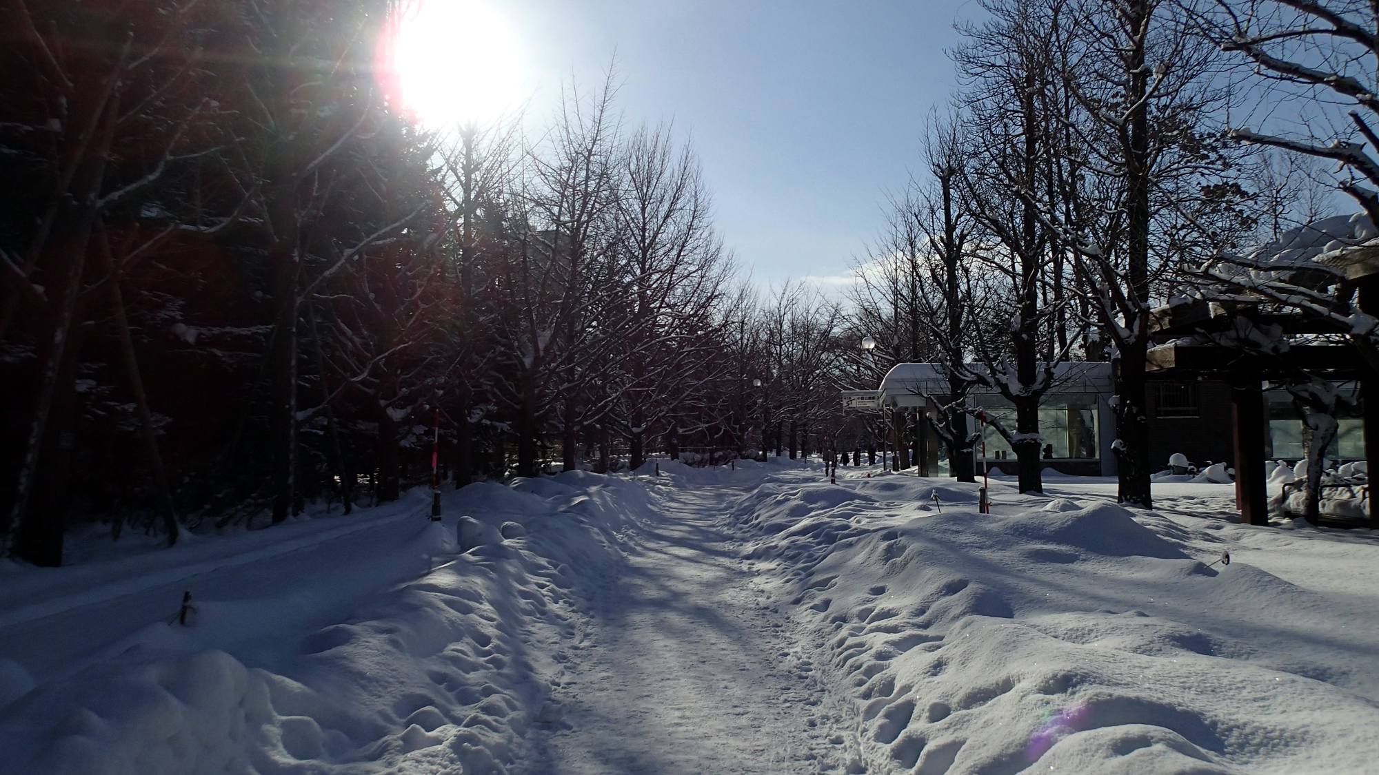 ホテル近場で雪遊びをするならオススメ！中島公園の雪景色（当館より徒歩3分）