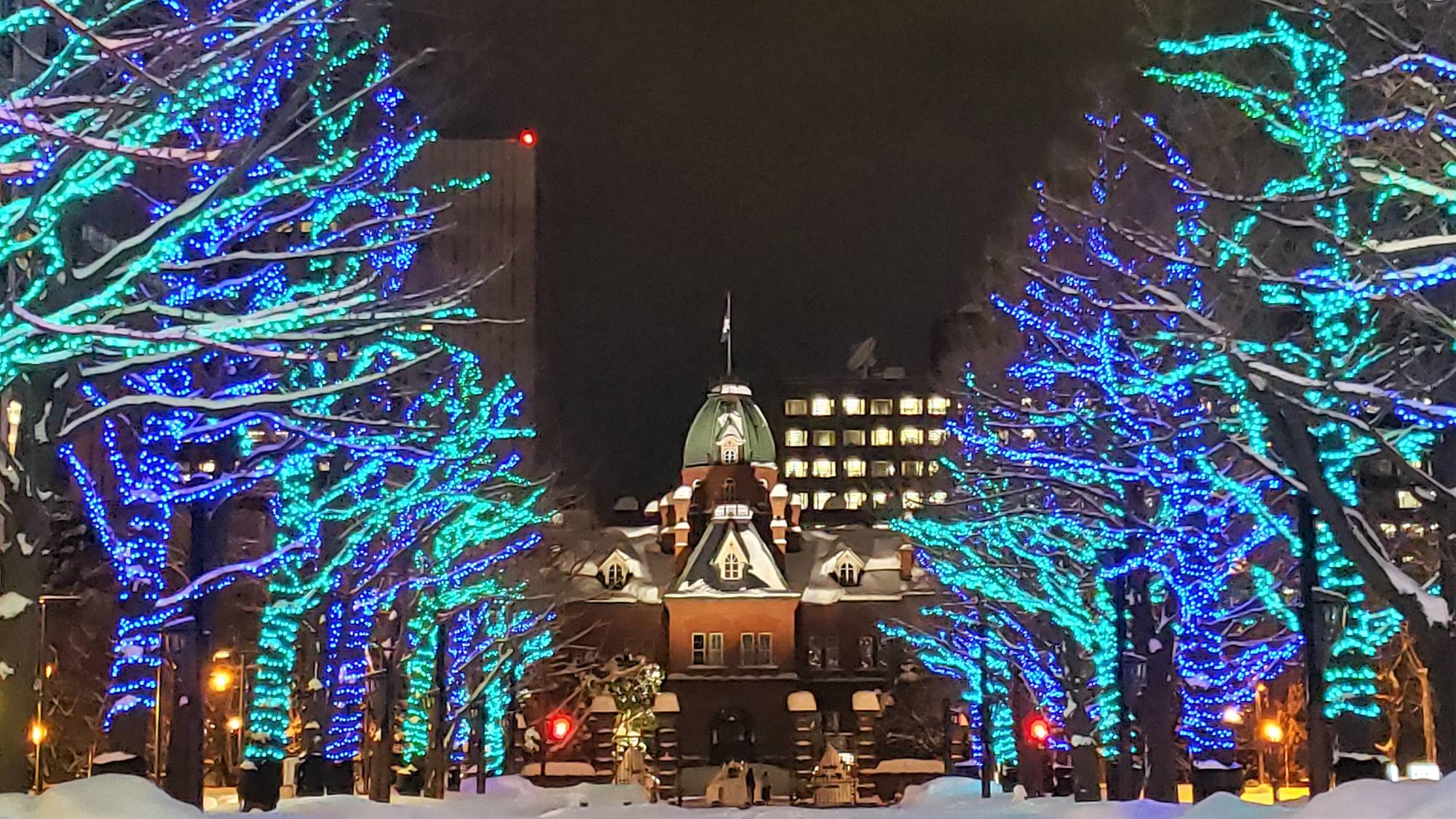 北海道赤レンガ庁舎を背景にイチョウ並木を光で演出。12月下旬~3月中旬頃まで開催
