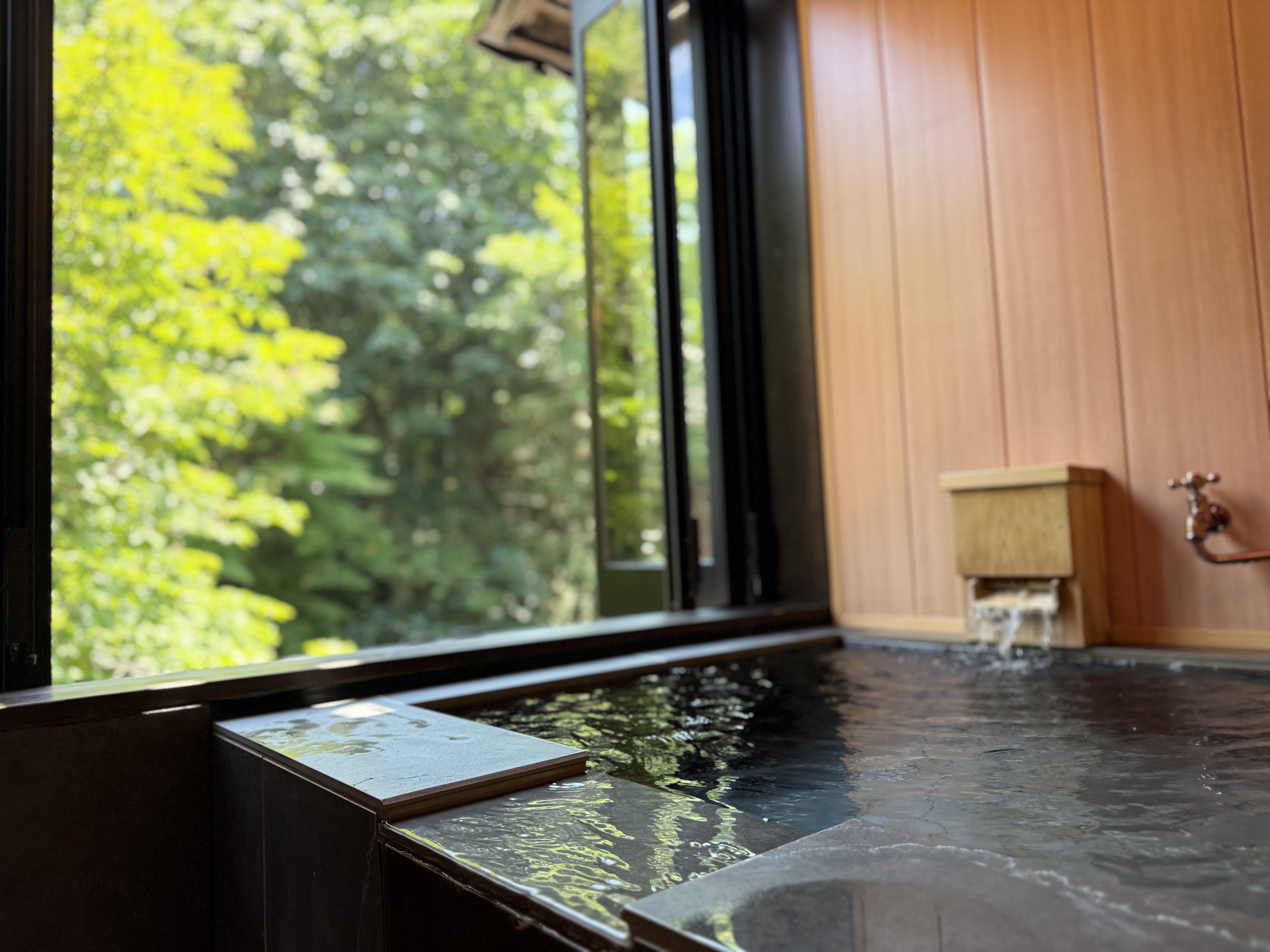 半露天風呂付き和洋モダンスイート客室の源泉かけ流し半露天風呂