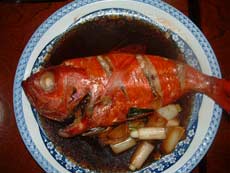 季節魚料理