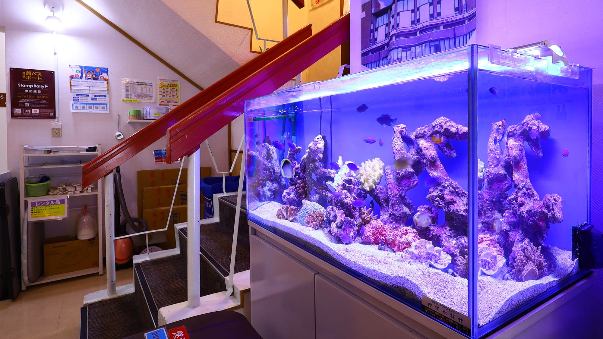 【10倍オトク!!】※15〜18時チェックイン専用※出張応援！！ポイントを貯めたい方必須☆彡