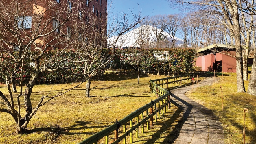 外観と富士山