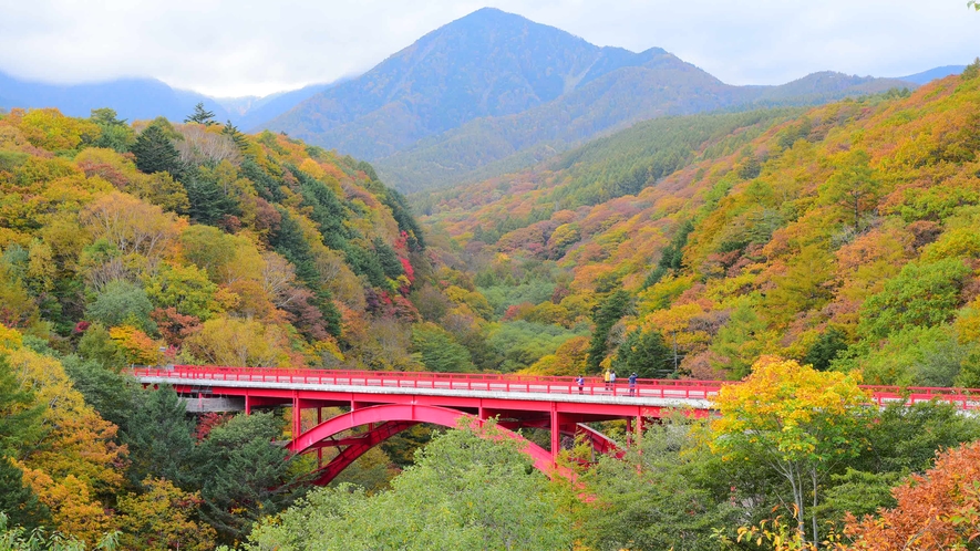 *[周辺のお勧めスポット：東沢大橋]