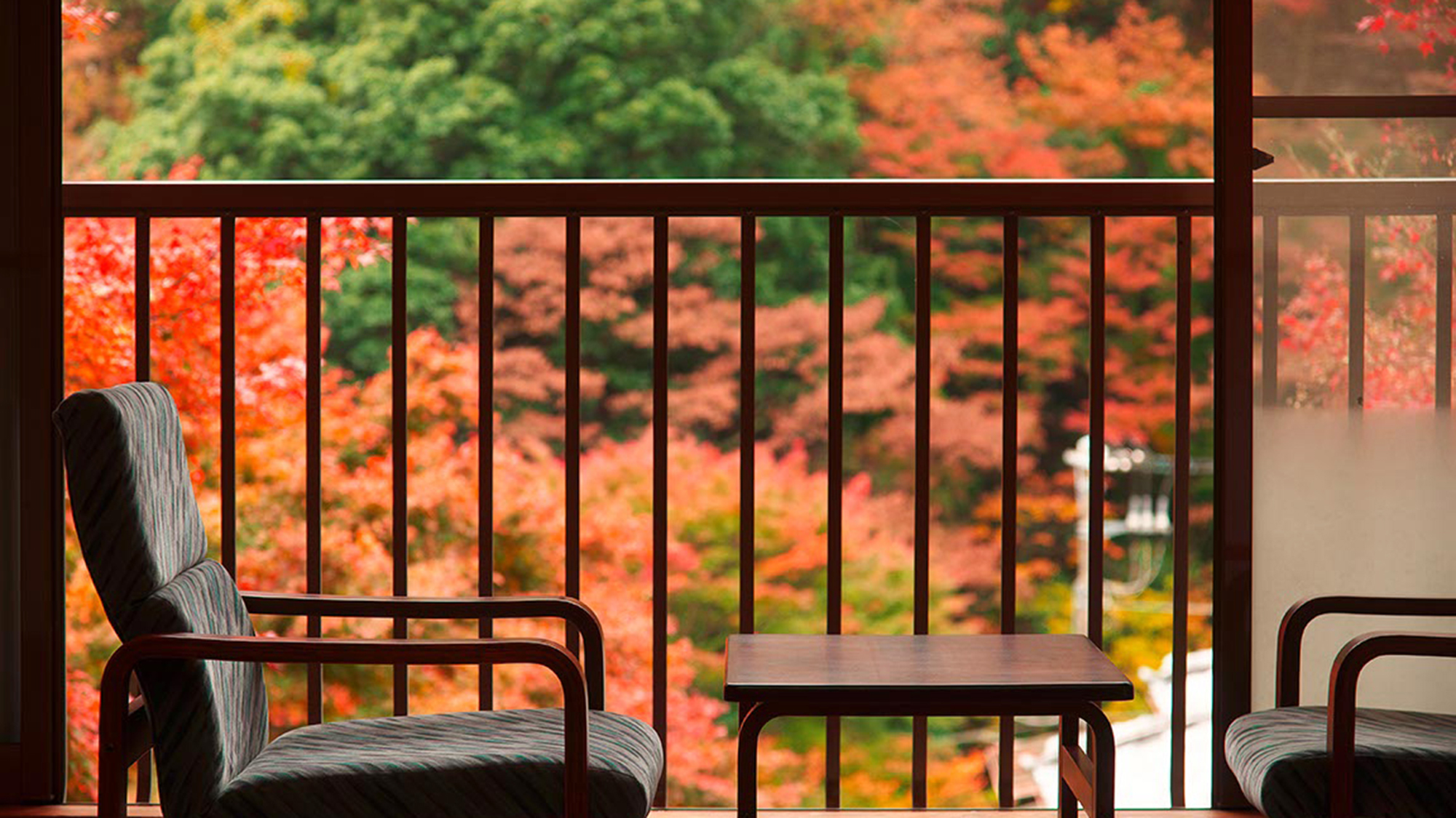 【客室イメージ】お部屋から、美しい紅葉が楽しめます。