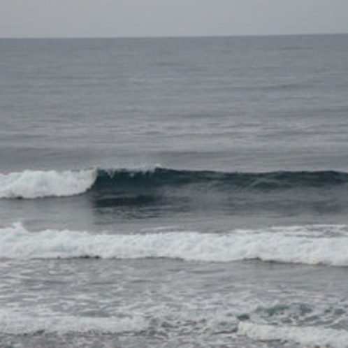 海に囲まれた佐渡はサーフィンに適しています。屈指のリーフポイントもあり。