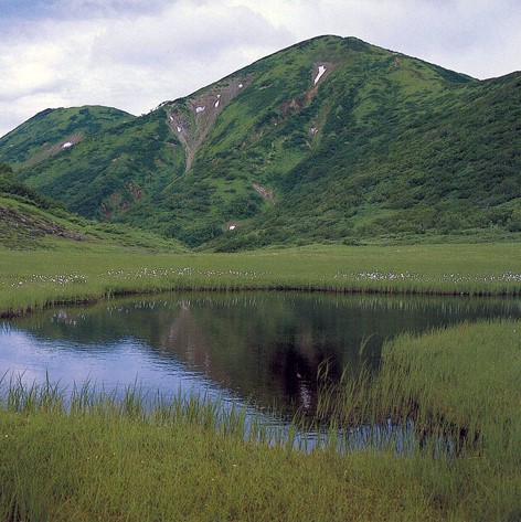 火打山　天狗の庭