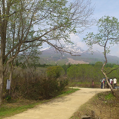 いもり池遊歩道