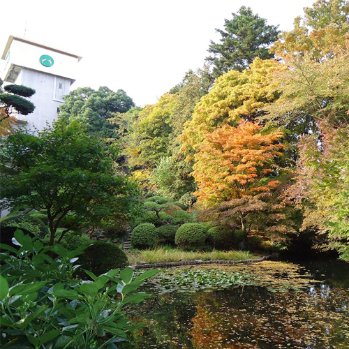 *日本庭園（秋）/約4500坪に彩られる木々や草花。四季ごとに違う表情を見せる景観に魅了されます。