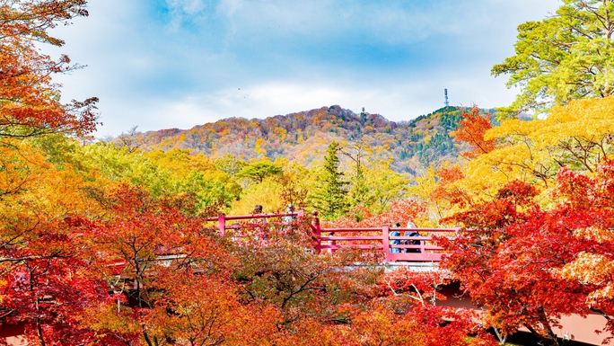 【11月限定！おまかせ料理】越後牛ステーキ×鮮魚のお造りが入った満足会席（夕朝食付）