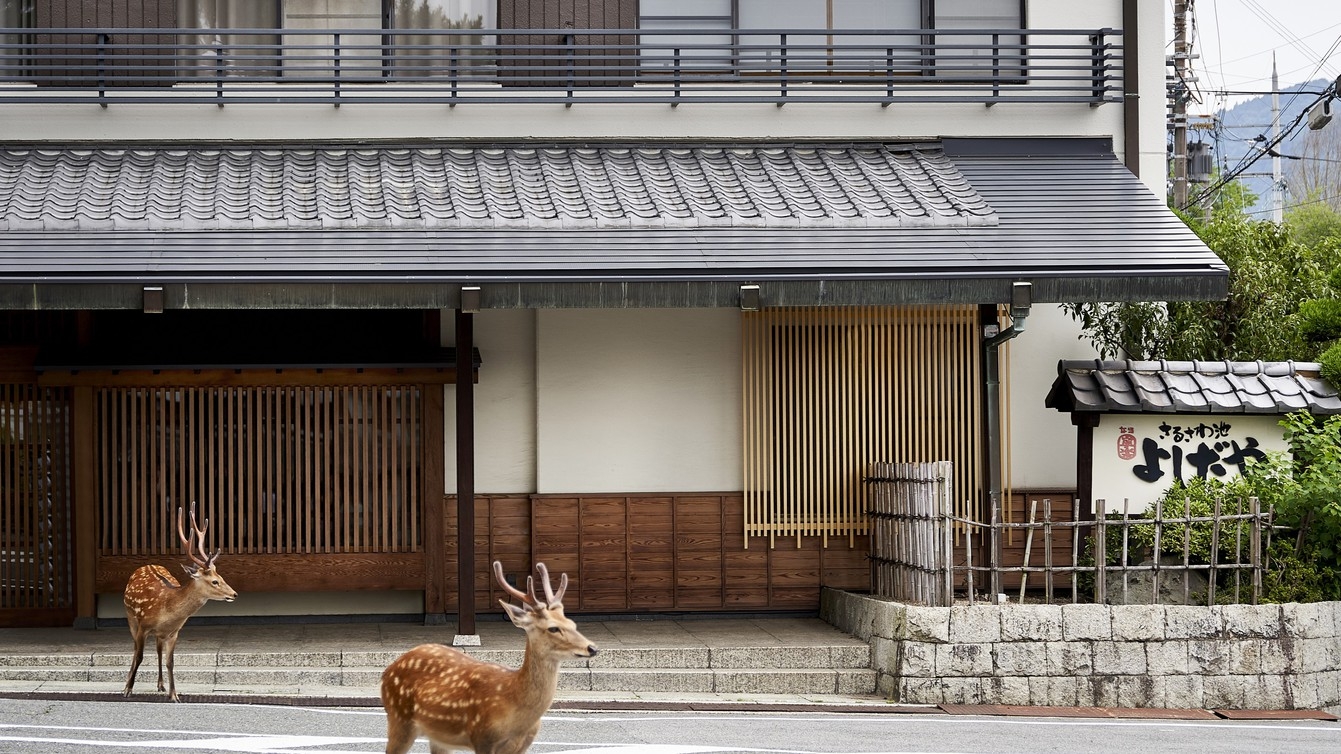 【お正月限定/２食付】古都奈良で鹿さんと迎える心あたたまる三が日/お正月特別会席＆おせち料理