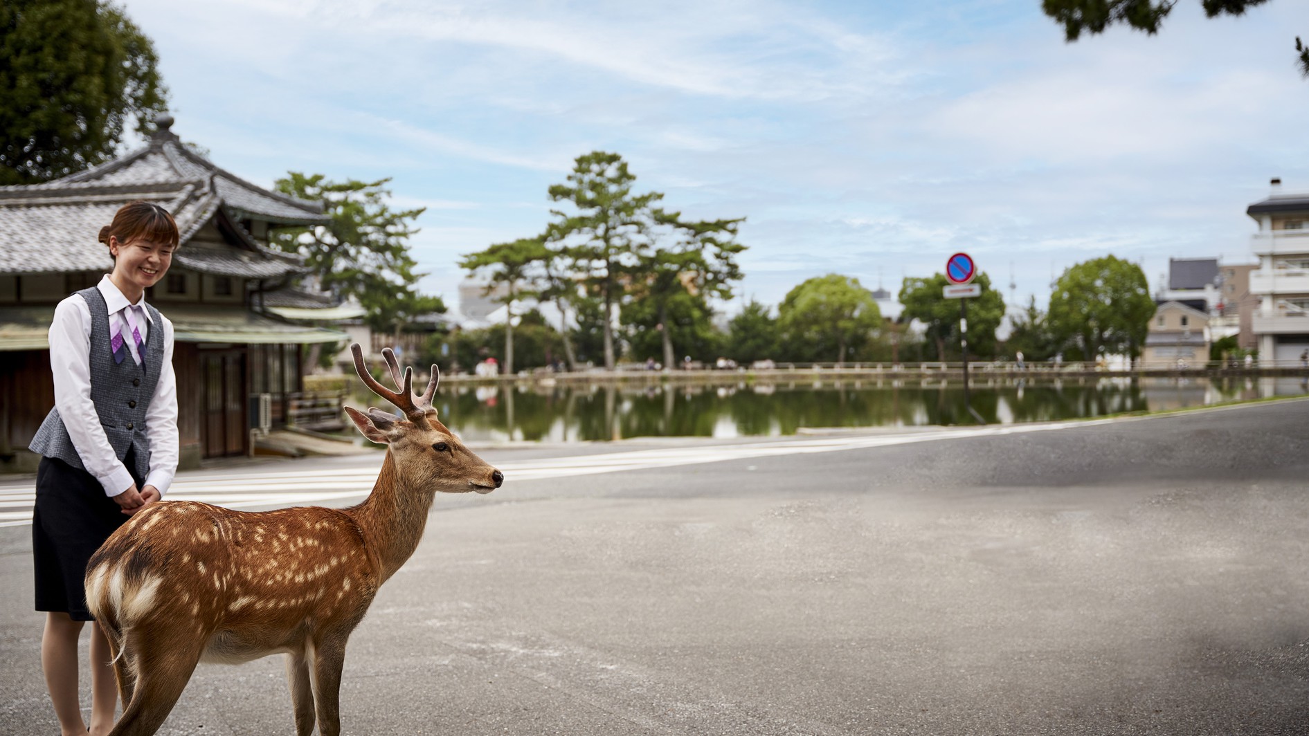 【鹿さん応援プロジェクト】SAVE THE DEER《鹿の子模様の風呂敷付き》/2食付