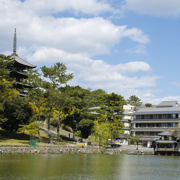 さるさわ池 よしだや 設備 アメニティ 基本情報 楽天トラベル さるさわ池 よしだや 設備 アメニティ 基本情報 楽天トラベル