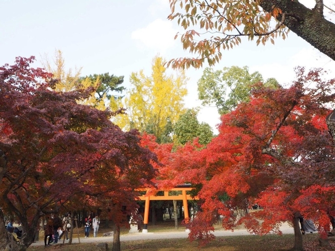 奈良公園の紅葉